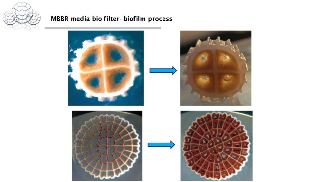 Nanxiang Mbbr Media K1 K3 K5 Mbbr Carrier Mbbr Filter Media Mbbr Bio Filter Media for Waste Water Treatment