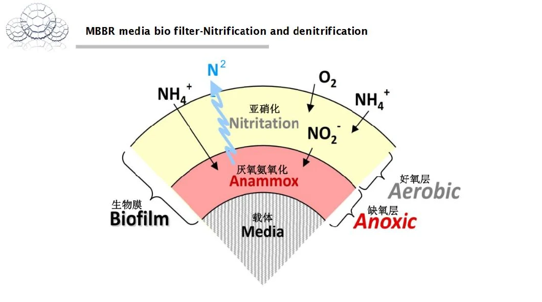 Nanxiang Mbbr Media K1 K3 K5 Mbbr Carrier Mbbr Filter Media Mbbr Bio Filter Media for Waste Water Treatment